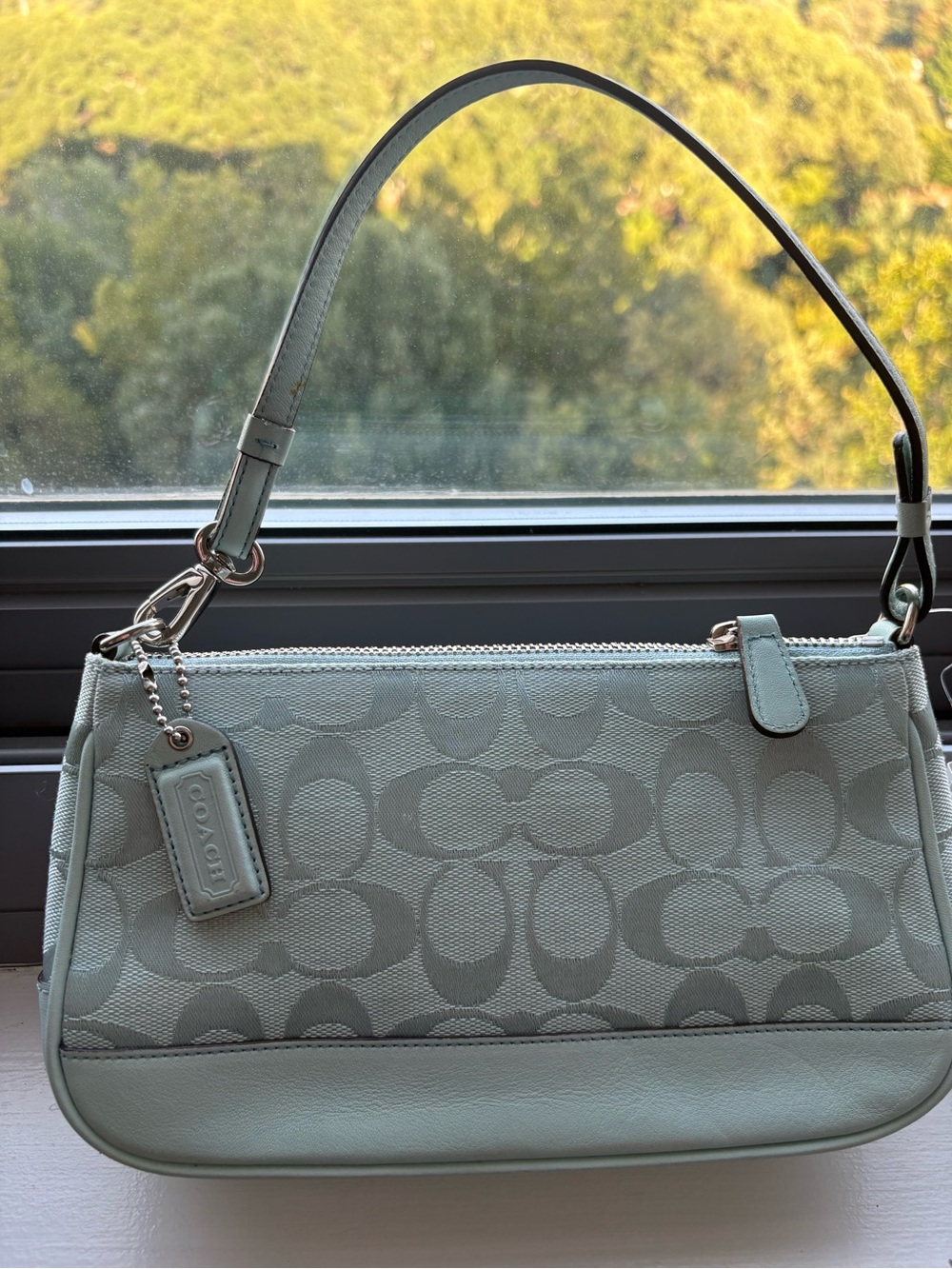 Blue Coach 6094